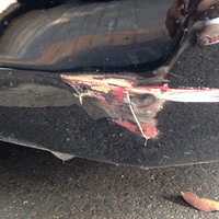 ���ӱ������������λ����������Ҳ��