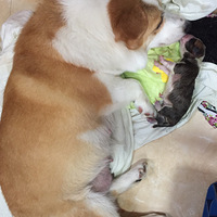 ��ù����ӵĿ»�mm����ô���ѵ�