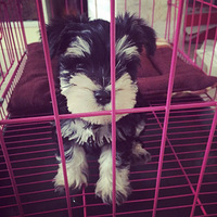 ��������һ������