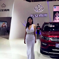 �Գ����������ģ������˵______��