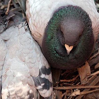 ������һ��һ��������Ը�Ķ��˵�һ��һ�����Ǳ�������ס�ģ�