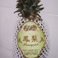 ��Ҫ������ҹ��