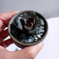 ��ȣ�������ˮ�����֮�С����������� ��ĳ�