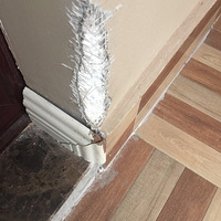 ��������̩���죬�����˸�̩�յ�