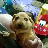 ������С�İ��۷�����ˣ��������ˣ���ô�죿