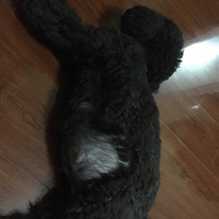 ���й���Ҫ��������