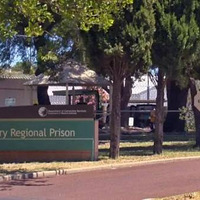 �����̷���һȺ�񹷹���һ�𣬼������Ժ󡣡���