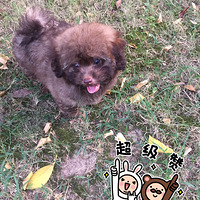 С��������������Ϊ����