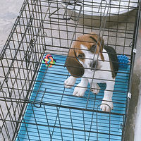 �о��Լ�����ɹ����ħ