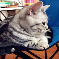 ��ĩ���ʺ��ڼҸ�����