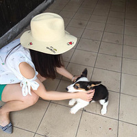 ����û�з����� ��Ҳ��Ҫ�����Լ� С��