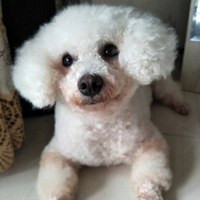 ����������ڿ��Դ�������ĵط�������кܴ�Ĳ�ƺ��