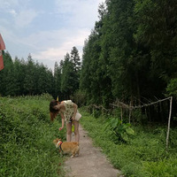 ����֮�꣬һ�𿴷羰������¼�ڶ��δ������Ķ�;���У�