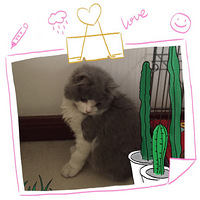 ��¼��ʼ����ʺ�ٵ�����