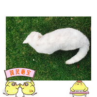 ��ƨ����ճ�