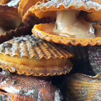 �ȱ�����ó�