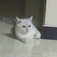 ���ҿ����ҼҶ����Ժ��ܳ�׳��