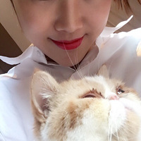 Ҫ��99��ÿ����èһ��ڡ�����