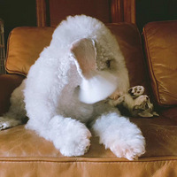 è��Ҳ�ܺ�г�ദ���Ҽ�����ֻ���а���