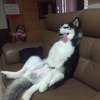 ����������ô��