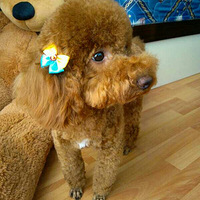 ����������