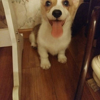 �ѵ�����Ҳ����������(?_?)