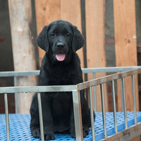 ΢�ֽ�80���С�һ�