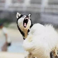 ��������ĦҮ���ܣ��������ˣ��ԱߵĽ�ë�±���