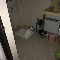 ¥��ľ����������ϵĶ��Ǳ��˼ҵ�èè�������ɰ�ը�����ÿޣ�