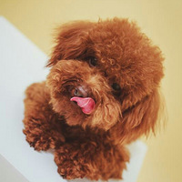 �����еı����