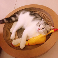 ���������������