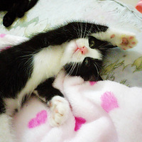 ź�ܿɰ�������źҪ�������λ��װ��������顣