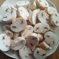 Ģ������