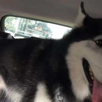 ������������С���� ���ҽԺ���Ҽҹ�����Զ�뿪���ң�