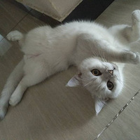 ��һ����������㣡