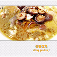 ������������㹽����