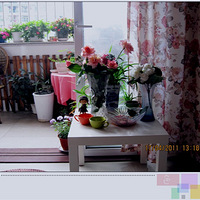 ����С��̨