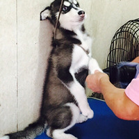 ��С��dd��Ů�����ˡ�