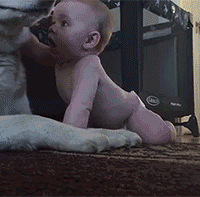 ������Щ��������ɶ��