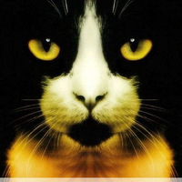 ���£���ҵ���������ʵʱ����Ҫ��ɱ�㡪����ͼ�����࣡