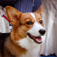 �ܰ��ܰ��� ���Ǹ��Ҹ��Ĳ�ʺ��