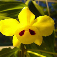 4?6?6?1?5Ư����ʯ����