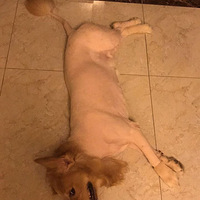 ��ʹ�������ë�ܵ�