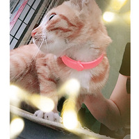 �������ö�