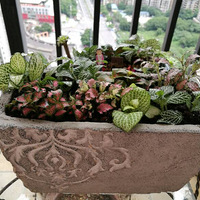 �����������أ����������ݲ�