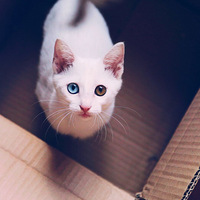 �Ҽҵ�ɵ����