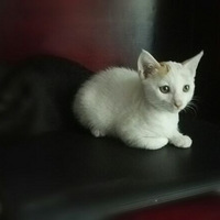 �и��а��Ĳ�ʺ��