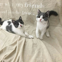 �������ǿɰ�