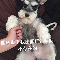 ���ʹ�����ô���ȽϺóԣ�