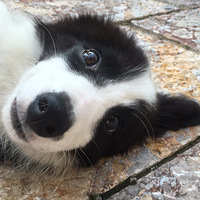 һ�����ڣ���������ɣϪ����͹����